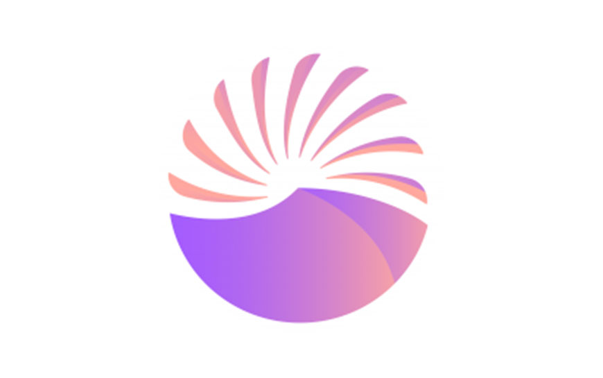 RISE Partnership: Twelve pink and purple fan blades radiate outward to form a circle above a solid shape.