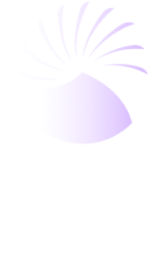 RISE Partnership logo